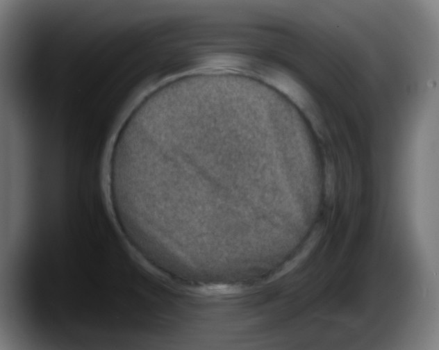X0000087561478200705251750