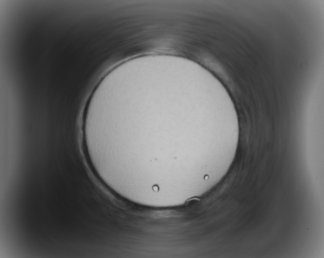 X0000087561479200705251750