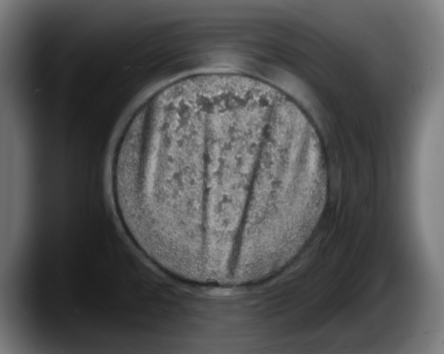 X0000087561480200705251750