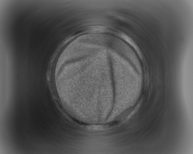 X0000087561481200705251750
