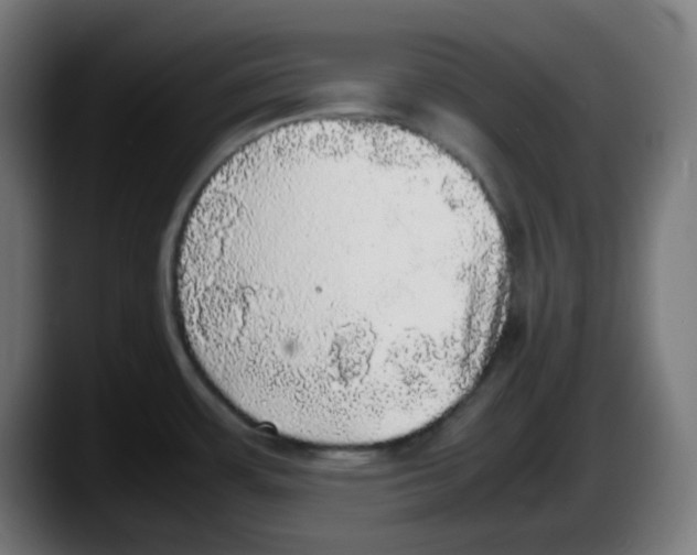 X0000087561483200705251750