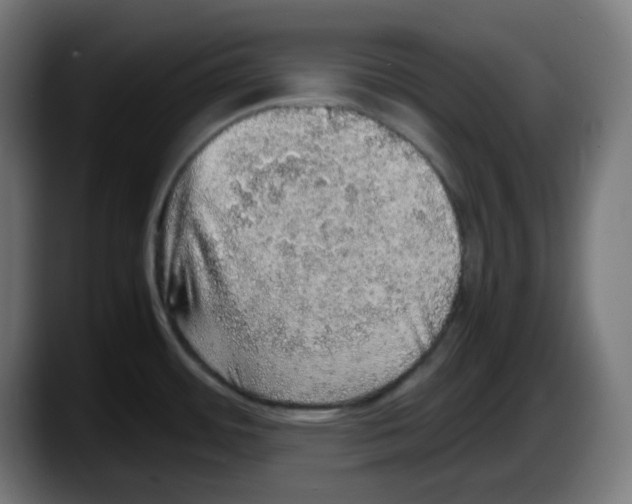X0000087561484200705251750