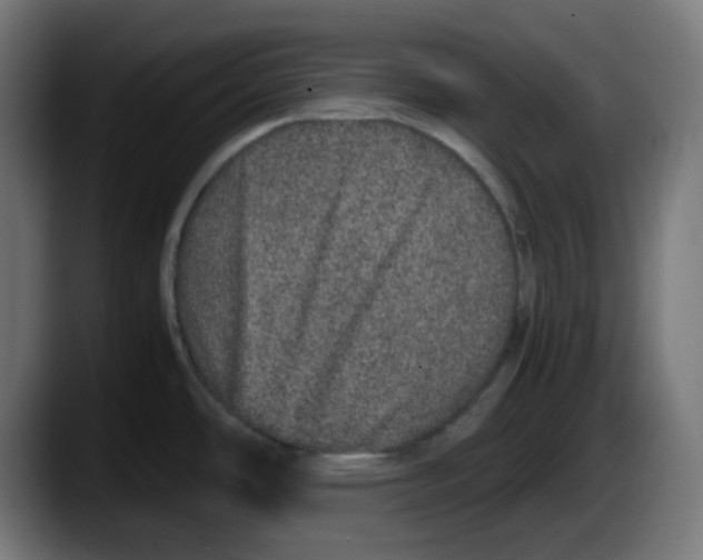 X0000087561486200705251750