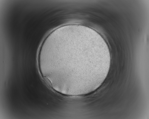 X0000087561488200705251750