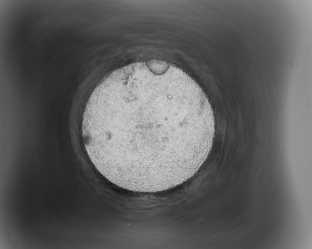 X0000087561489200705251749