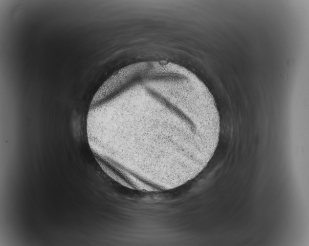X0000087561490200705251749