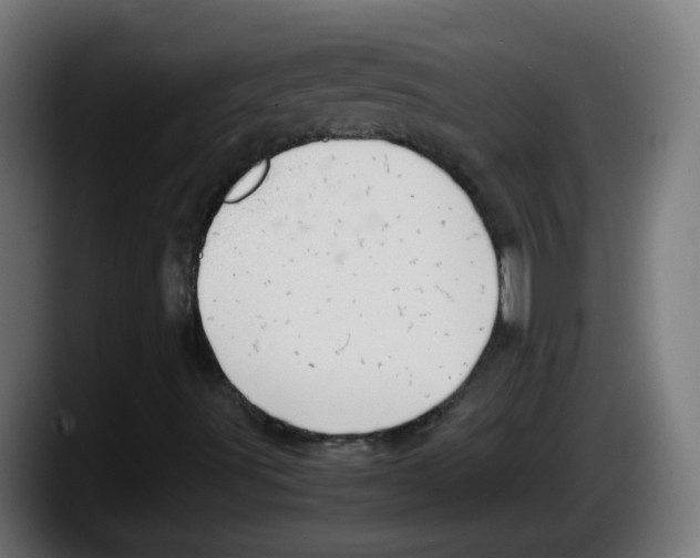 X0000087561491200705251749