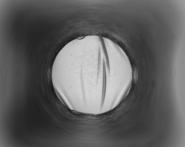 X0000087561492200705251749