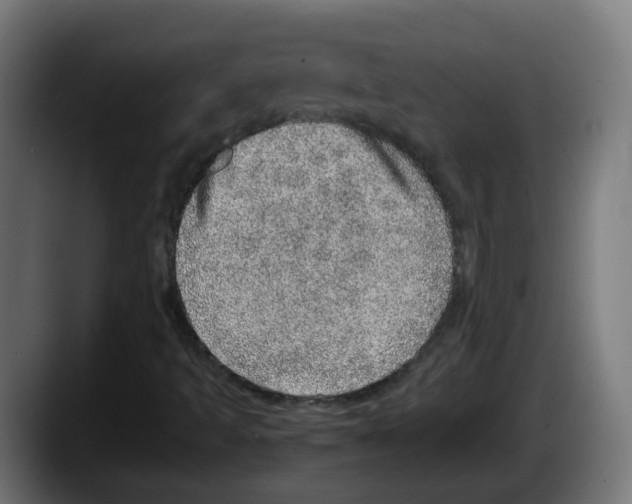 X0000087561493200705251749