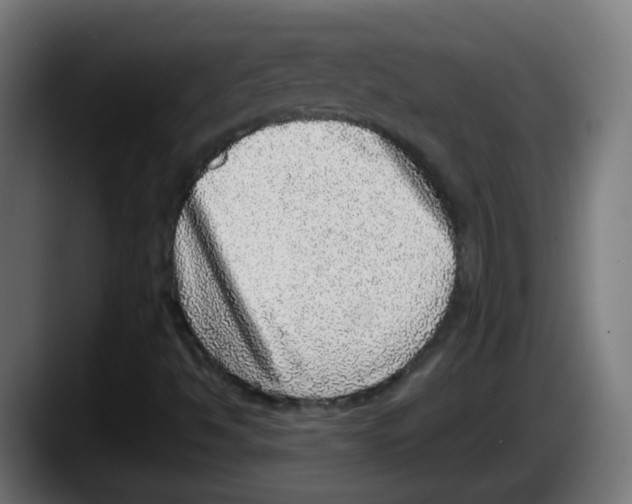 X0000087561494200705251749