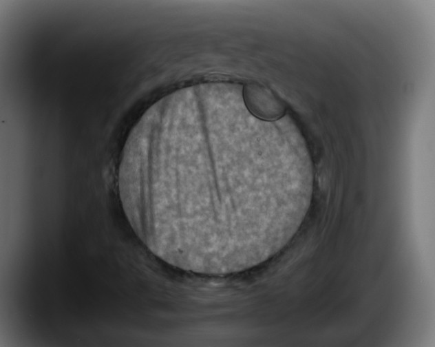 X0000087561495200705251749