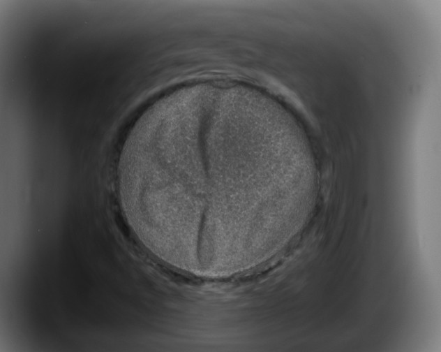 X0000087561496200705251749