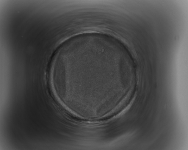 X0000087561497200705251749