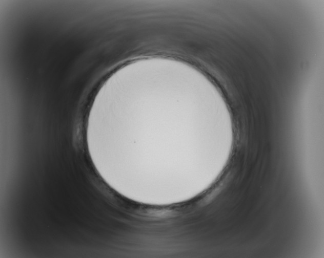 X0000087561498200705251749