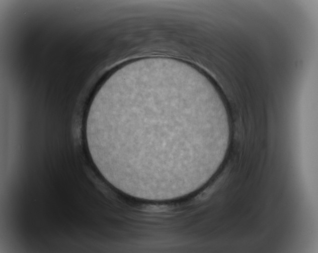 X0000087561499200705251749