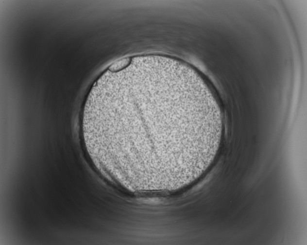 X0000087561500200705251750