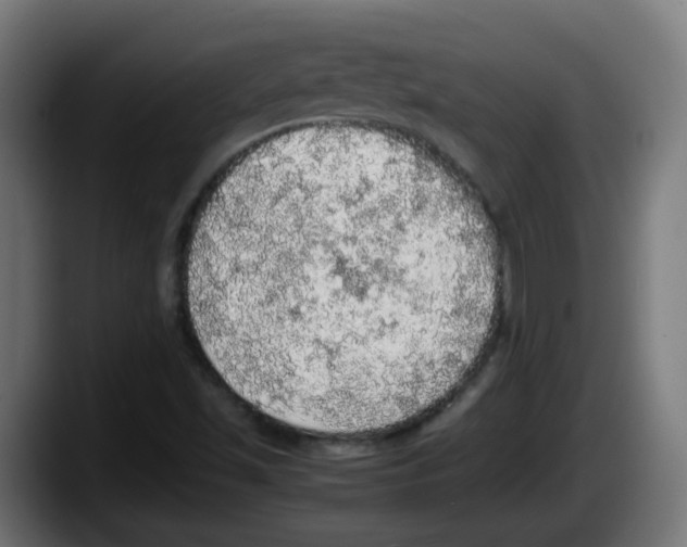 X0000087561501200705251750