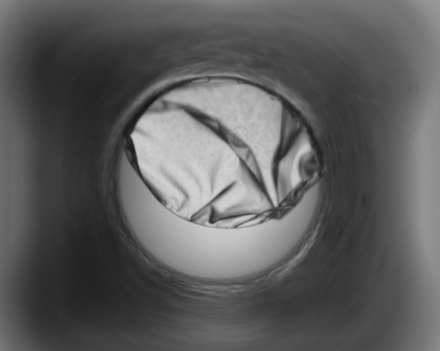 X0000087561502200705251750