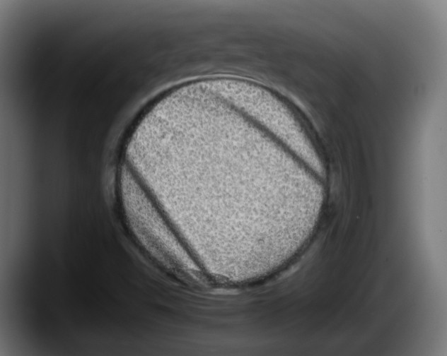 X0000087561503200705251750
