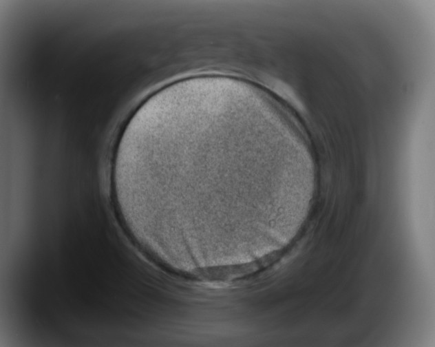 X0000087561504200705251750
