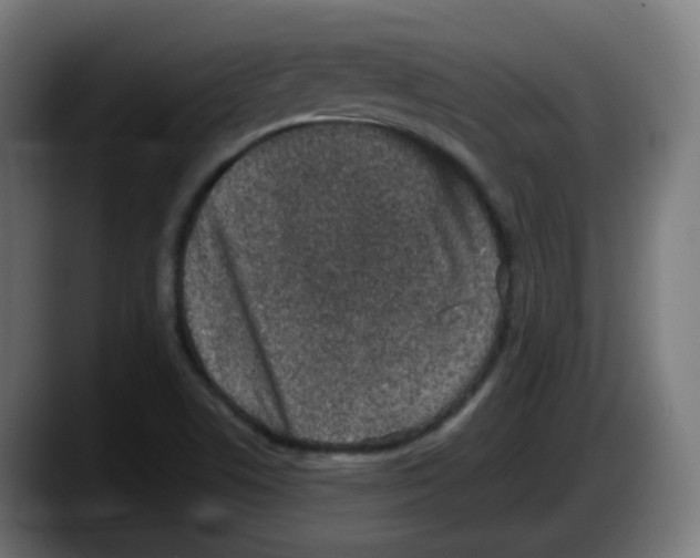 X0000087561506200705251750