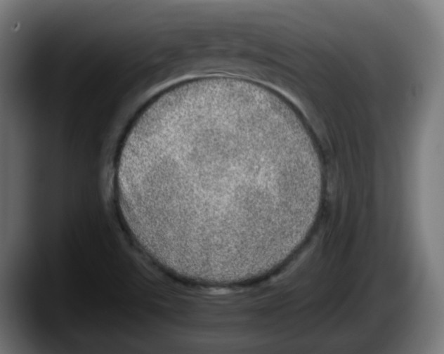 X0000087561507200705251750