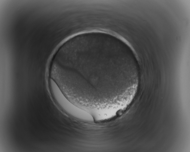 X0000087561508200705251750