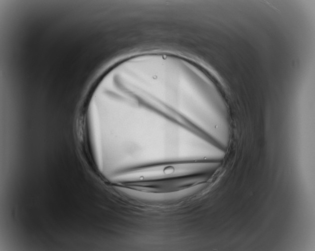 X0000087561510200705251750