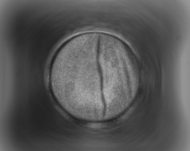 X0000087561511200705251750