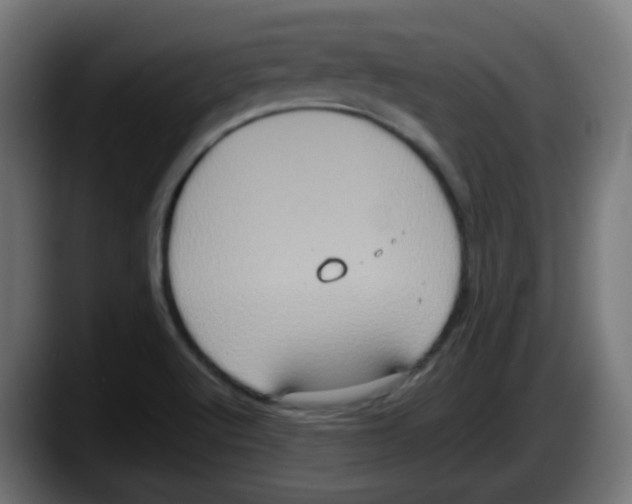 X0000087561512200705251750