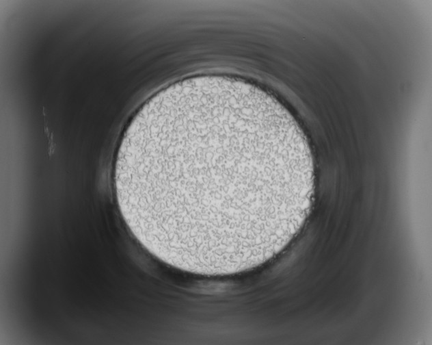 X0000087561513200705251750