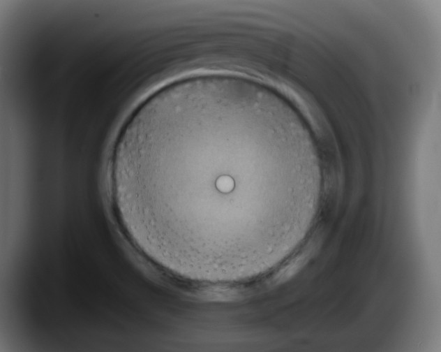 X0000087561514200705251750