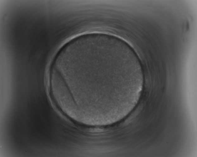 X0000087561515200705251750