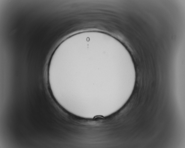 X0000087561516200705251750