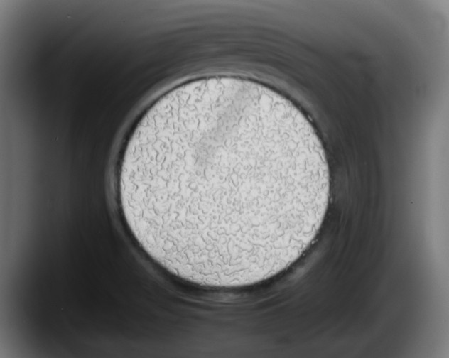 X0000087561517200705251750