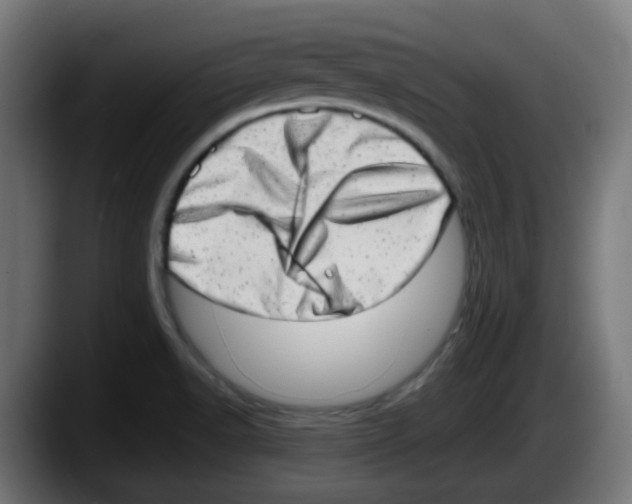 X0000087561518200705251750
