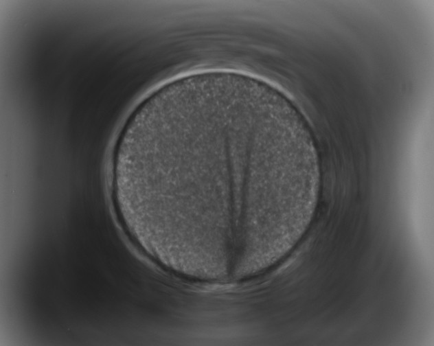 X0000087561519200705251750