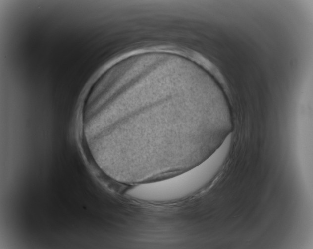 X0000087561520200705251750