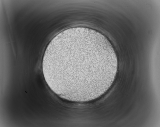 X0000087561521200705251750