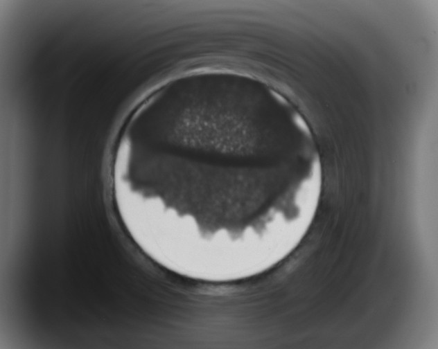 X0000087561522200705251750