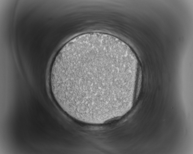 X0000087561525200705251750