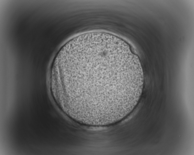 X0000087561526200705251750