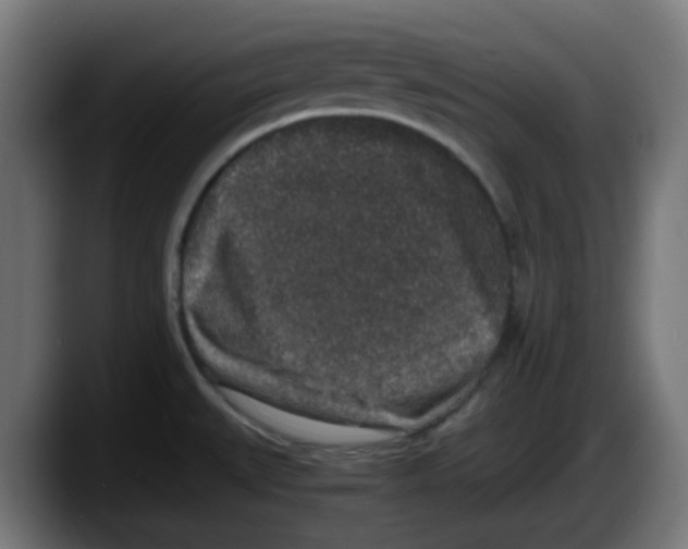 X0000087561527200705251750