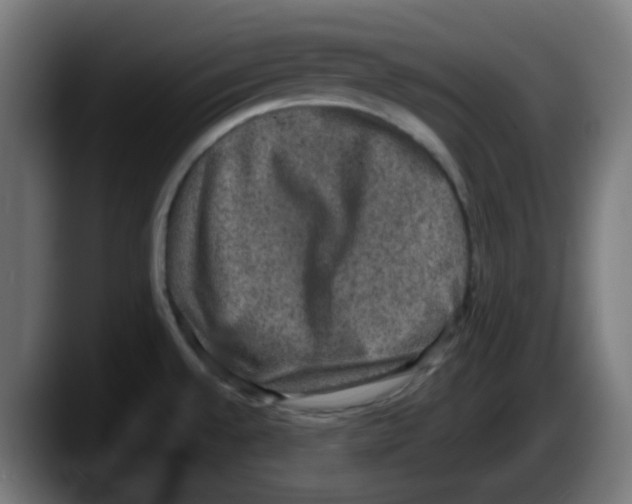 X0000087561528200705251750