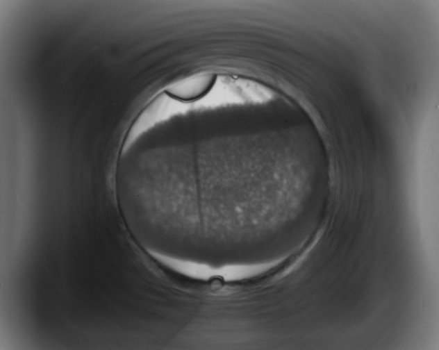 X0000087561529200705251750