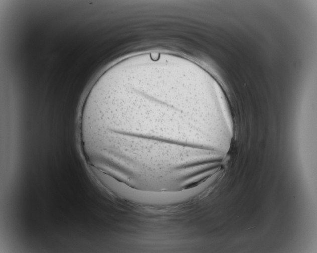 X0000087561532200705251750