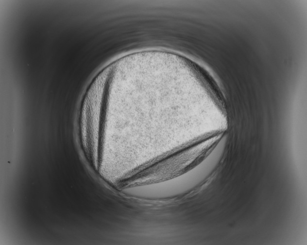 X0000087561534200705251750