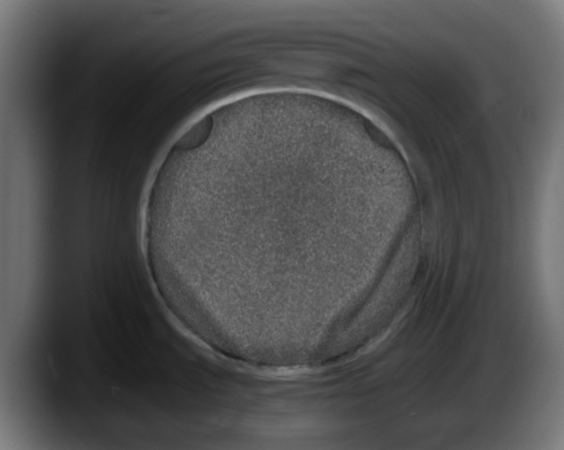 X0000087561535200705251750