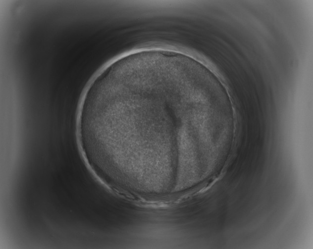 X0000087561536200705251750