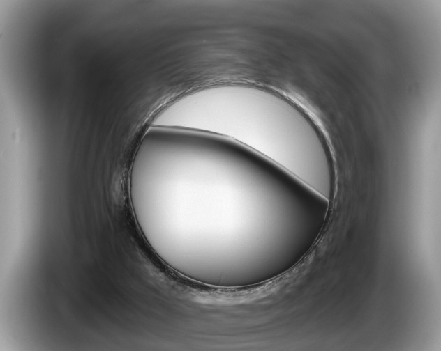 X0000087570009200704270952
